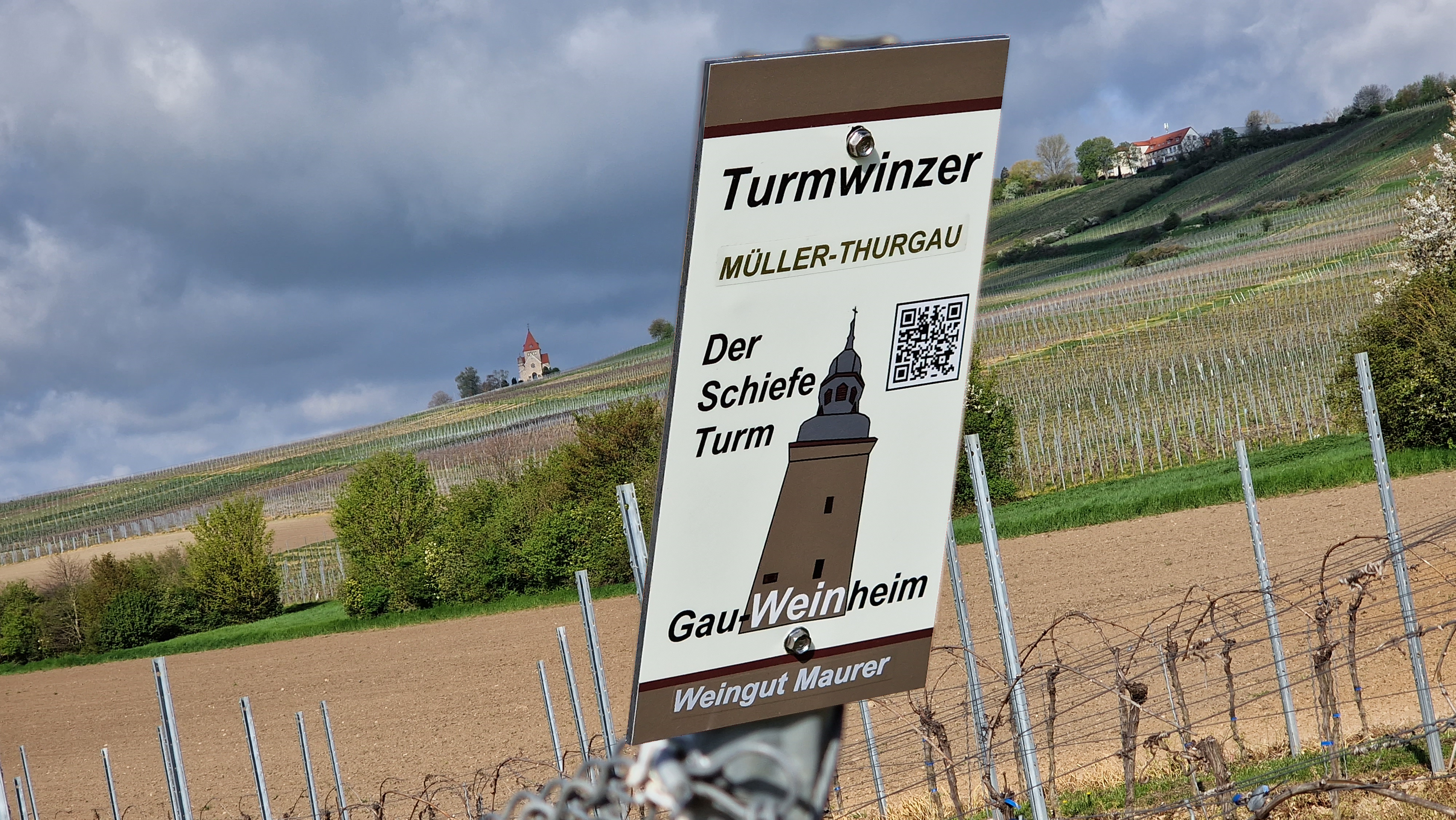 Turmwinzer Weg Weingut Maurer Müller-Thurgau